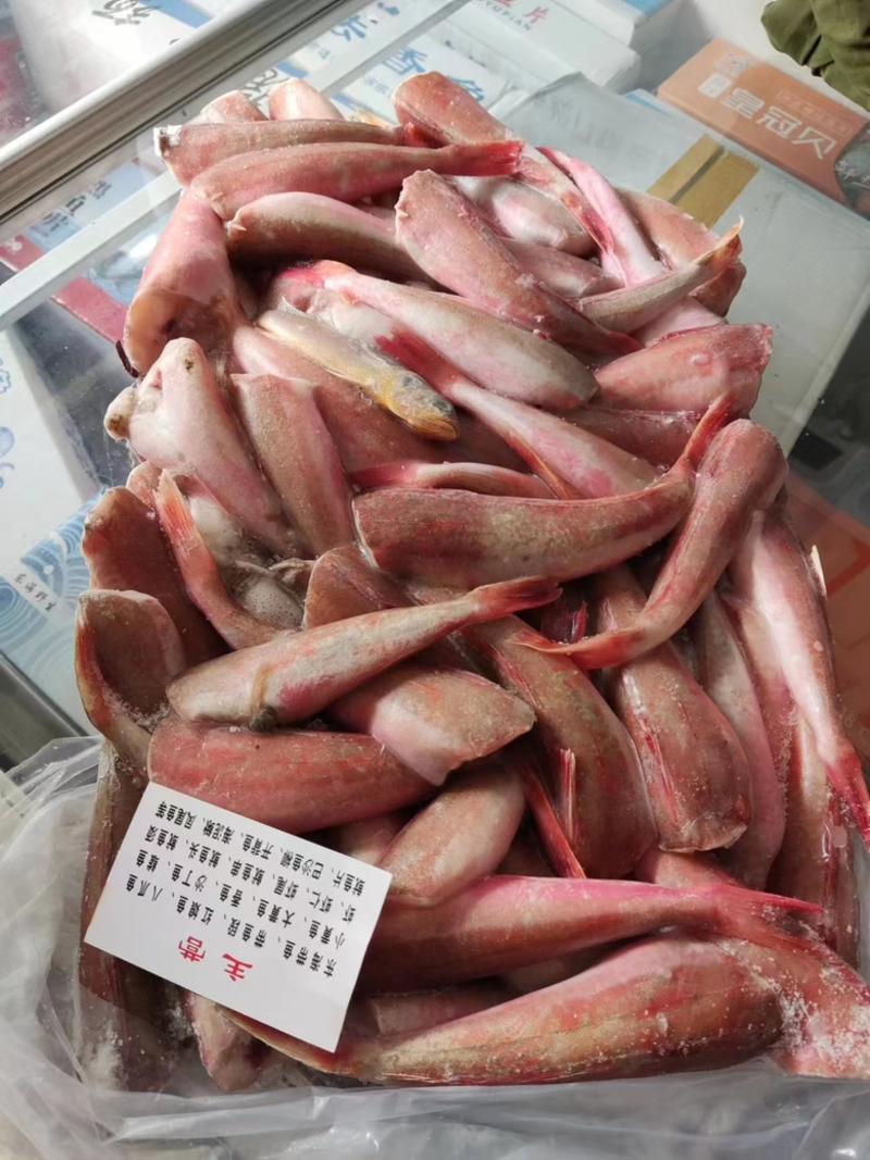 红娘鱼大量供应，货源充足，供货稳定，可视频看货