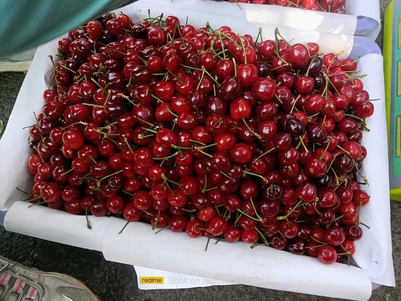 露天玛瑙红樱桃大量上市中，一手货源欢迎各大平台，市场对接