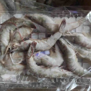 小河虾供货充足，可大量供应，质优价廉，可视频看货