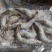小河虾供货充足，可大量供应，质优价廉，可视频看货