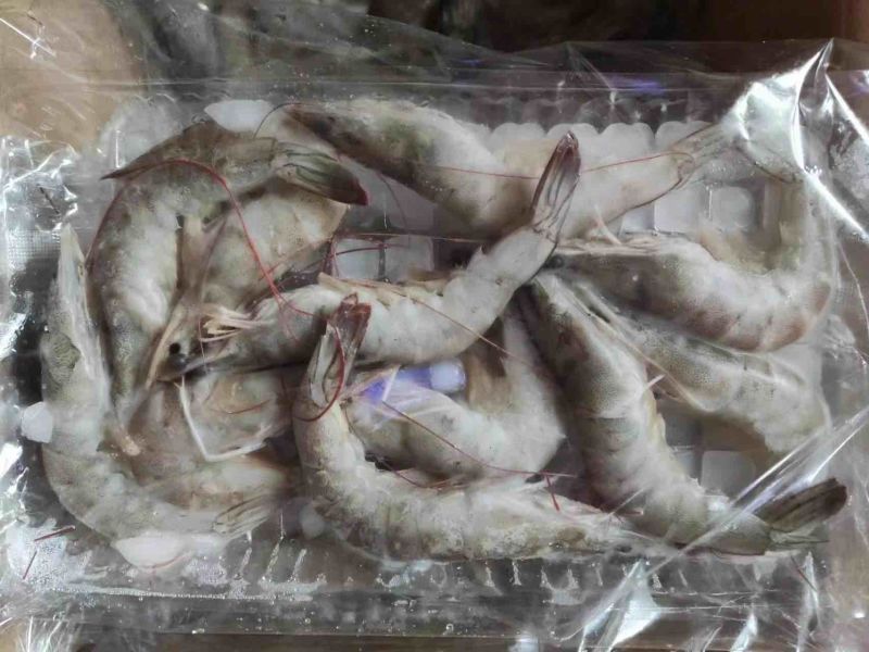 小河虾供货充足，可大量供应，质优价廉，可视频看货
