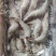 国产十板虾大量有货，量大从优，质量保真，可视频看货