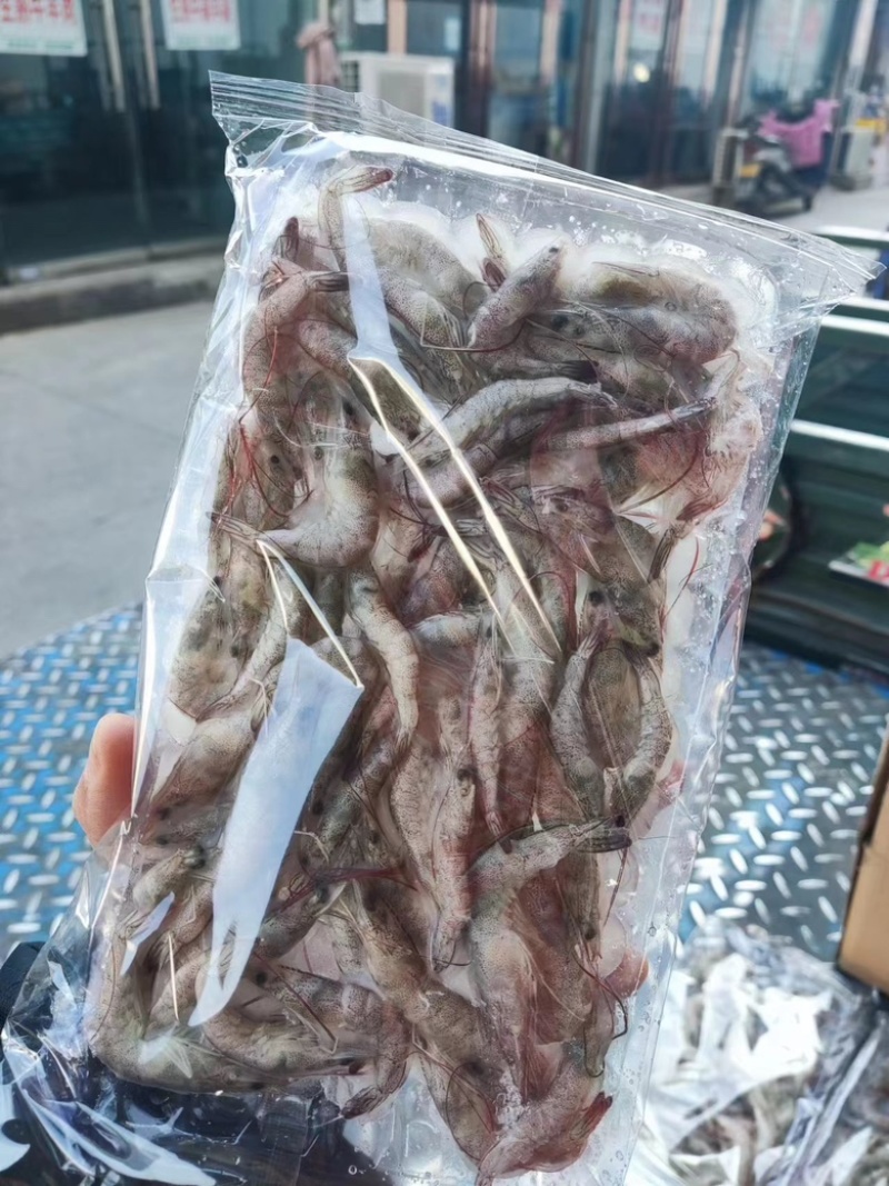 国产十板虾大量有货，量大从优，质量保真，可视频看货