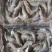 国产十板虾大量有货，量大从优，质量保真，可视频看货