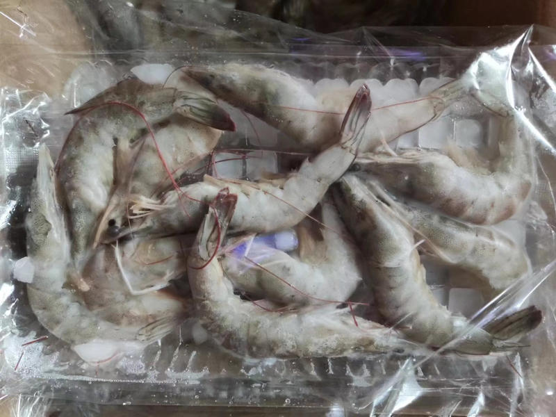 国产十板虾大量有货，量大从优，质量保真，可视频看货