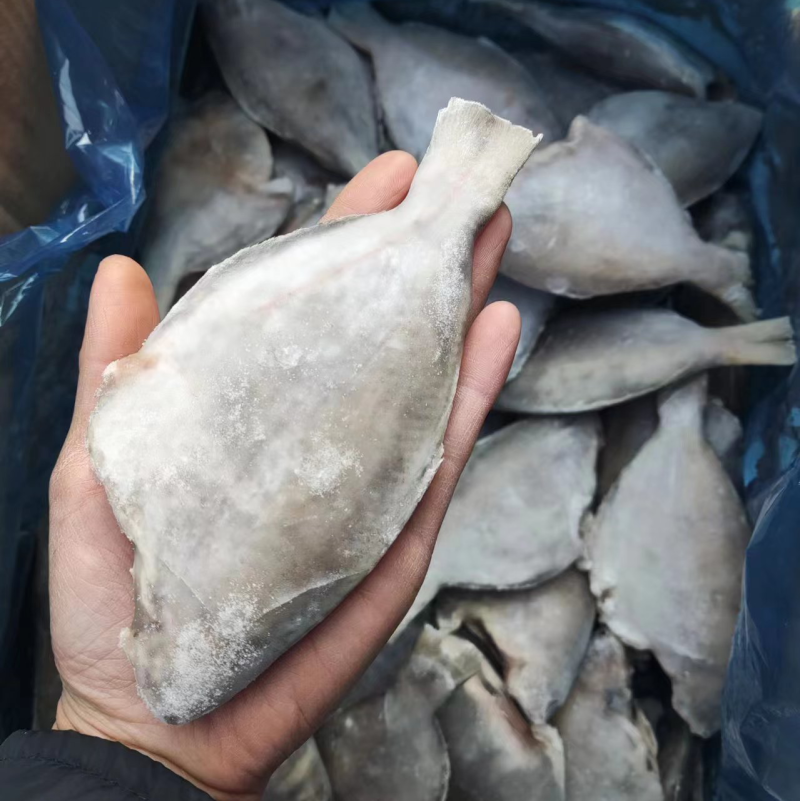 三去香鱼，市场供应，货源充足，保质保量，视频看货