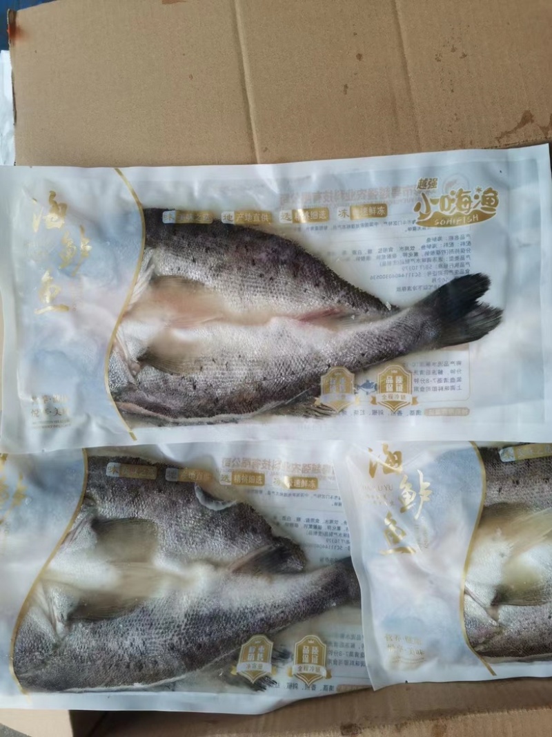 鲈鱼白蕉开背海鲈鱼，供货稳定，可长期供应，可视频看货