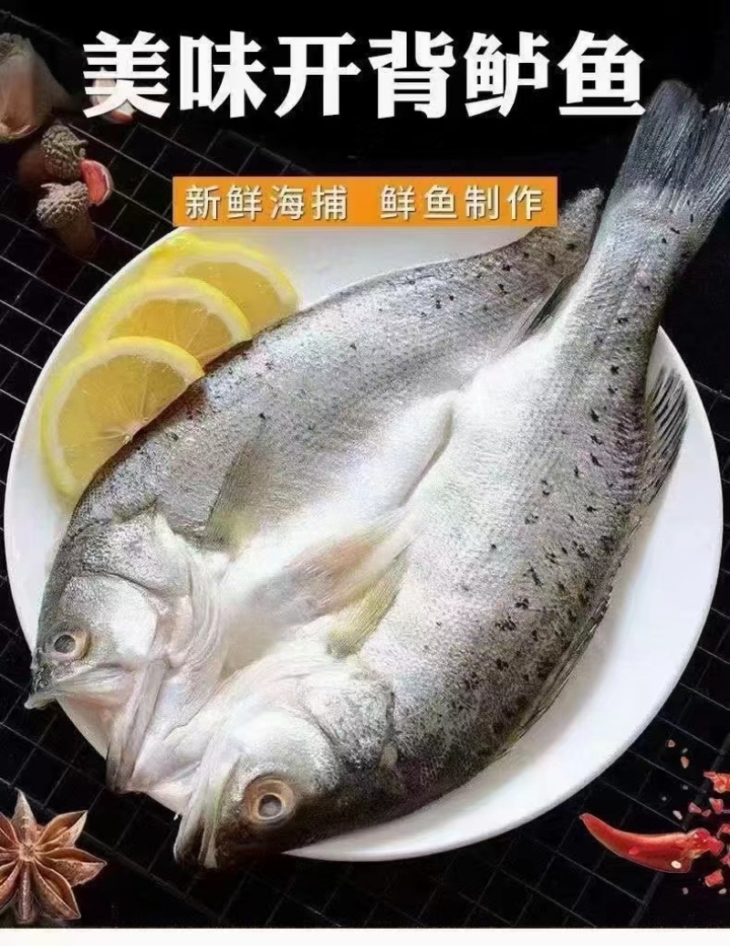 鲈鱼白蕉开背海鲈鱼，供货稳定，可长期供应，可视频看货