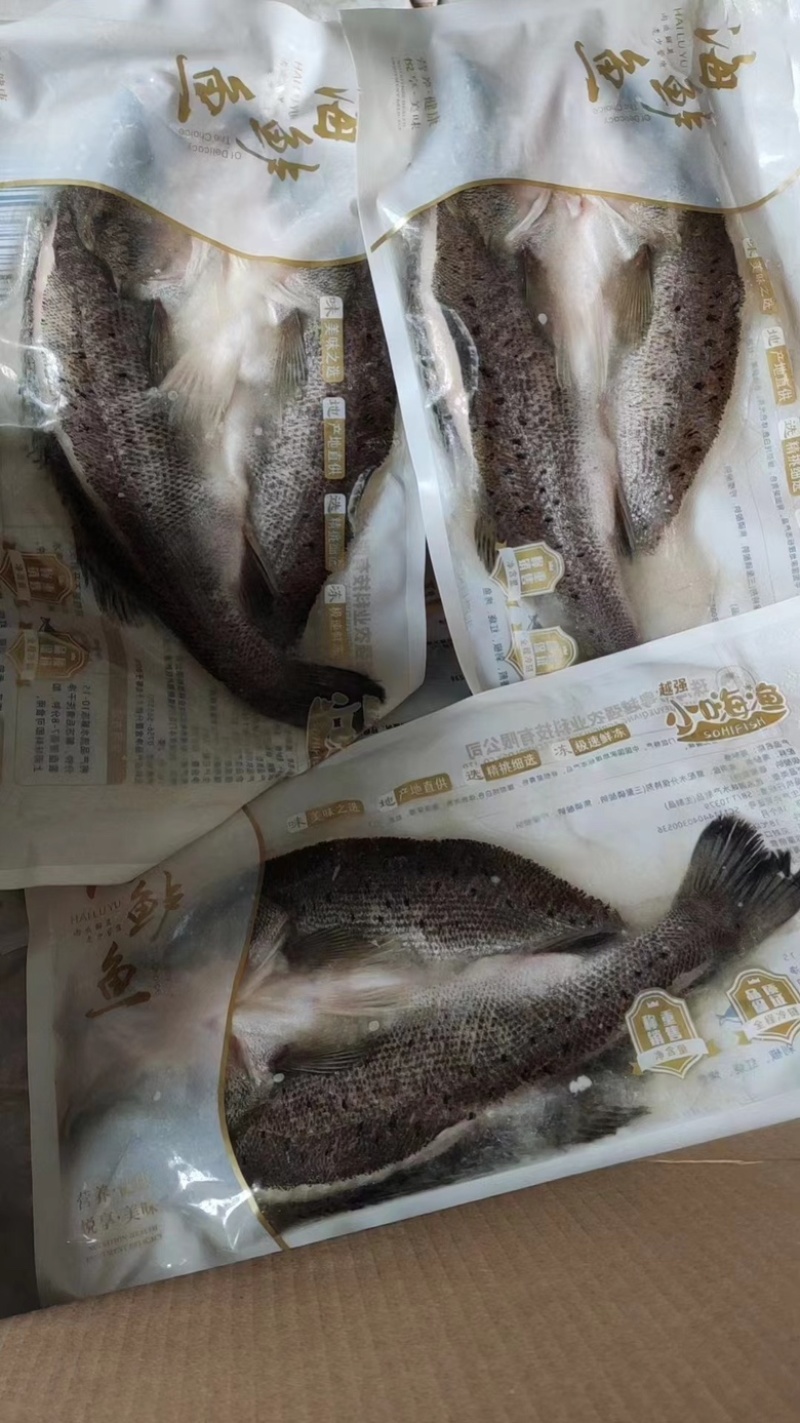 鲈鱼白蕉开背海鲈鱼，供货稳定，可长期供应，可视频看货