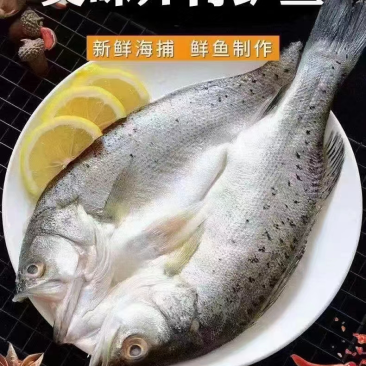 鲈鱼白蕉开背海鲈鱼，供货稳定，可长期供应，可视频看货