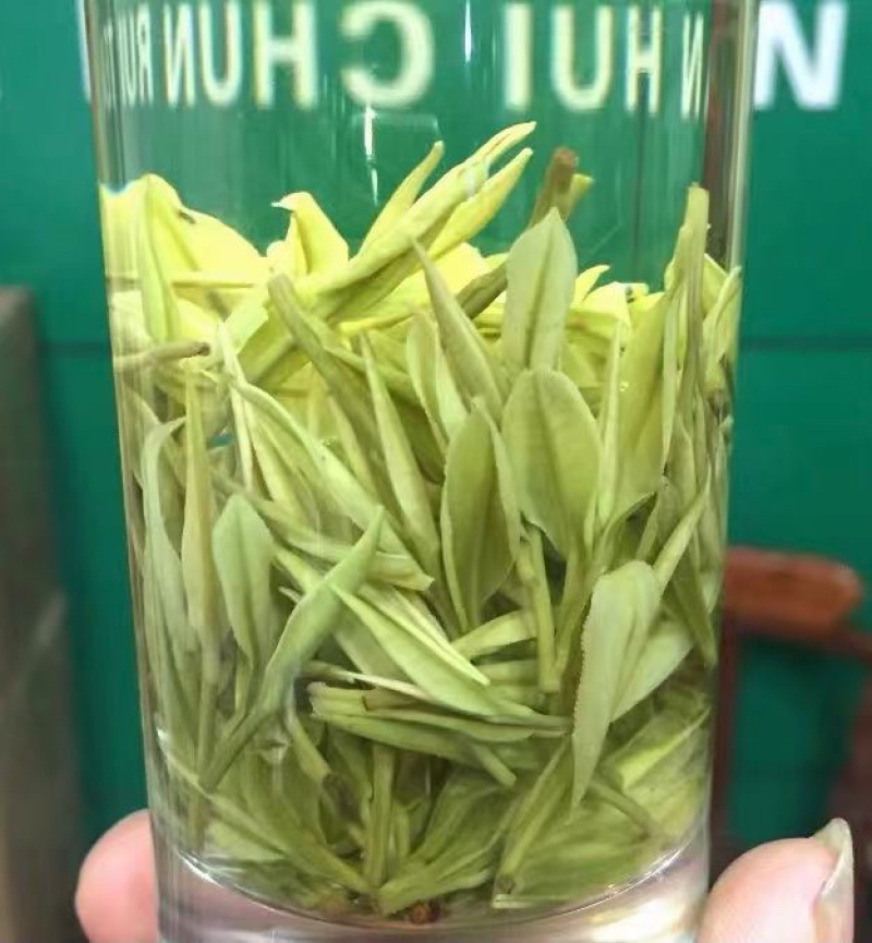 安吉白茶明前茶