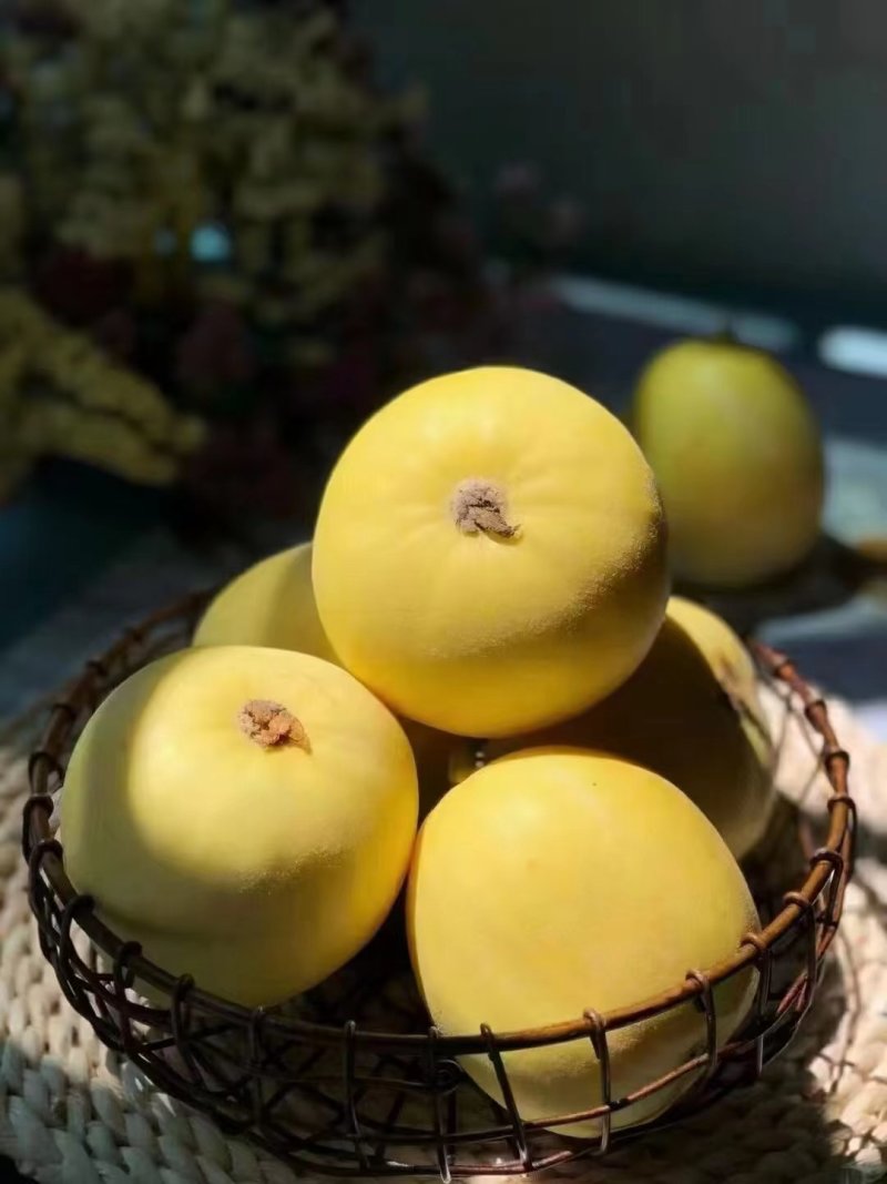 一件代发小蜜蜂甜瓜口感脆甜价格优势发往全国
