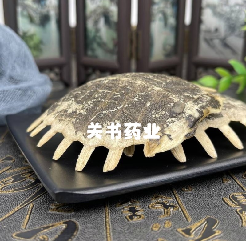 鳖甲生鳖甲关书药材干度货无虫蛀批发各种规格中药材