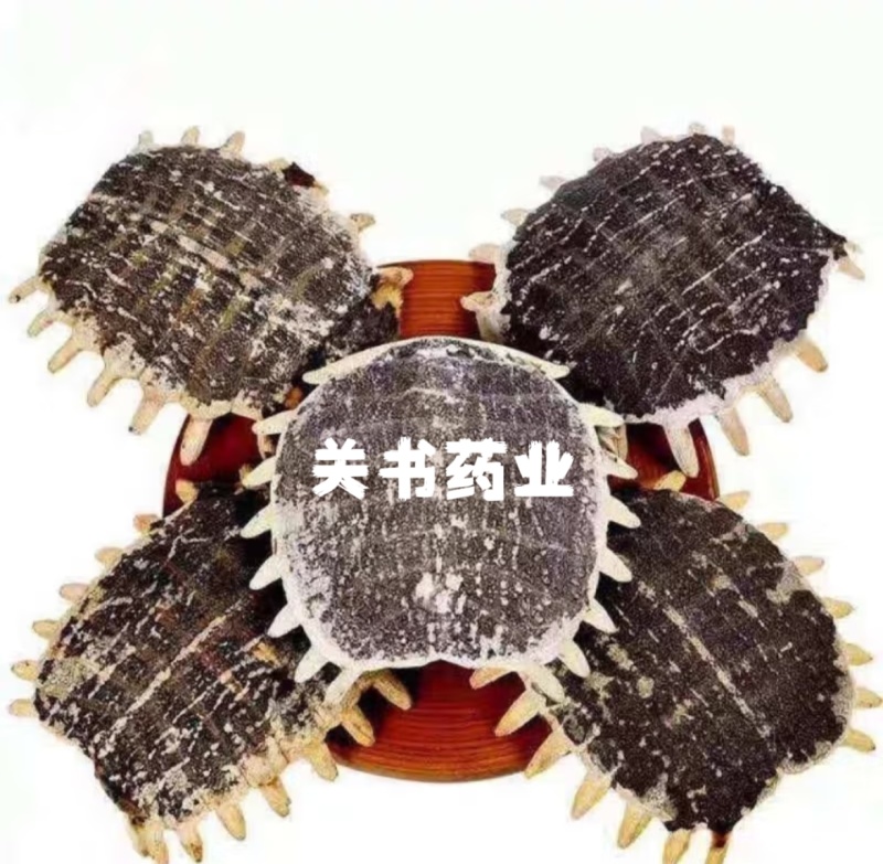 鳖甲生鳖甲关书药材干度货无虫蛀批发各种规格中药材