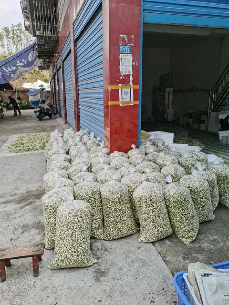 槐花