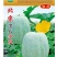 乐农种业北京串八冬瓜种子早熟丰产易做瓜浅绿色肉厚包邮