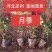棒棒糖树桩月季造型基发大花朵苗阳台庭院四季开花