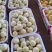 湖北省加鱼县几万亩甜瓜，甜玉米，南瓜，6月上市。