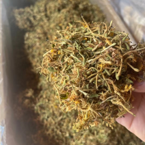 深山采摘无硫野生金银花茶灭火茶花草茶散装