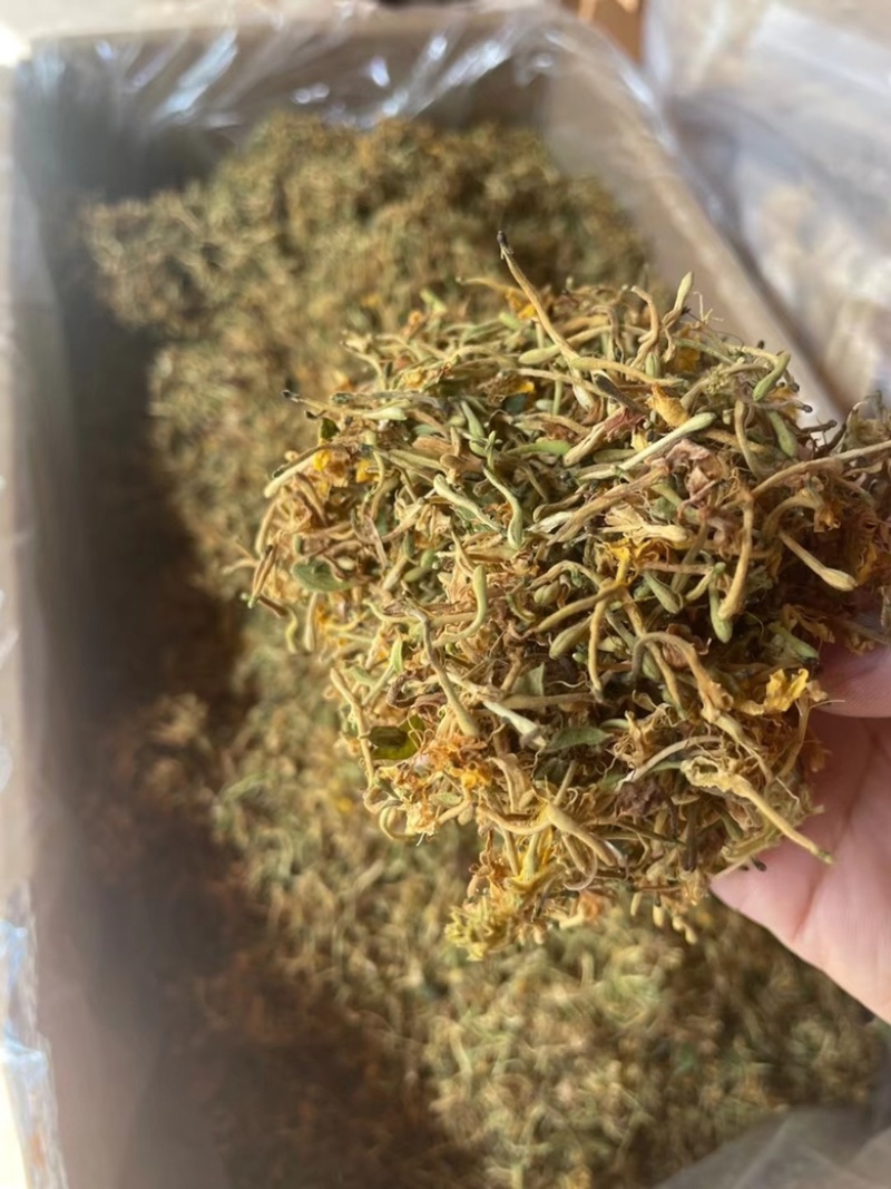 深山采摘无硫野生金银花茶灭火茶花草茶散装