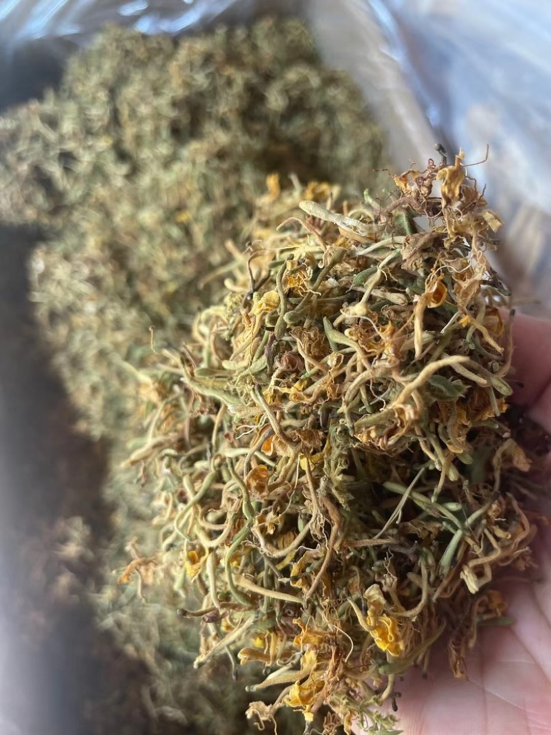 深山采摘无硫野生金银花茶灭火茶花草茶散装