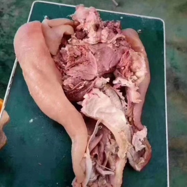 纯干牛头肉质量保证工厂直销拒绝中间商赚差价