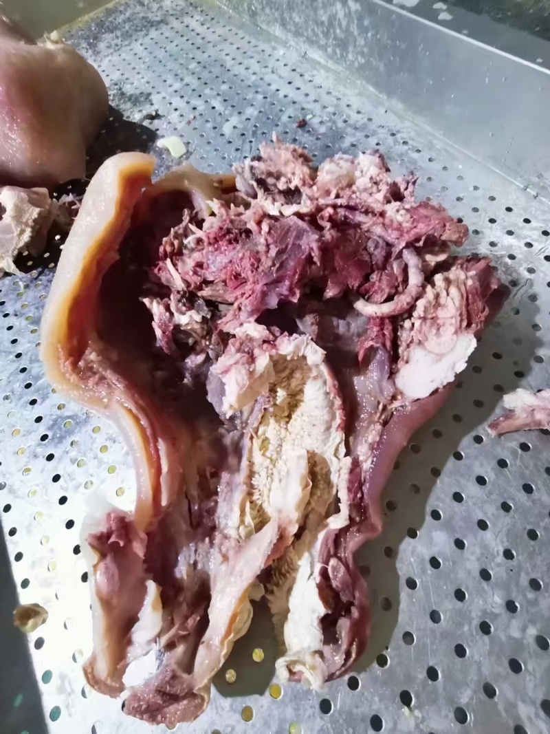 纯干牛头肉质量保证工厂直销拒绝中间商赚差价