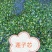 江西【莲心茶】莲子芯，泡水正品，清热去火，特级天然新货