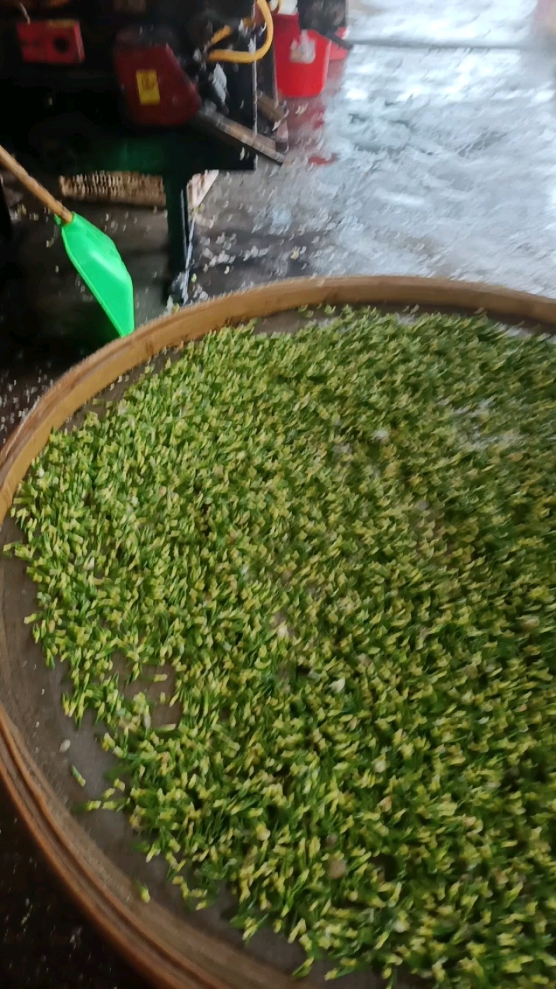 江西【莲心茶】莲子芯，泡水正品，清热去火，特级天然新货