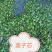 江西【莲心茶】莲子芯，泡水正品，清热去火，特级天然新货