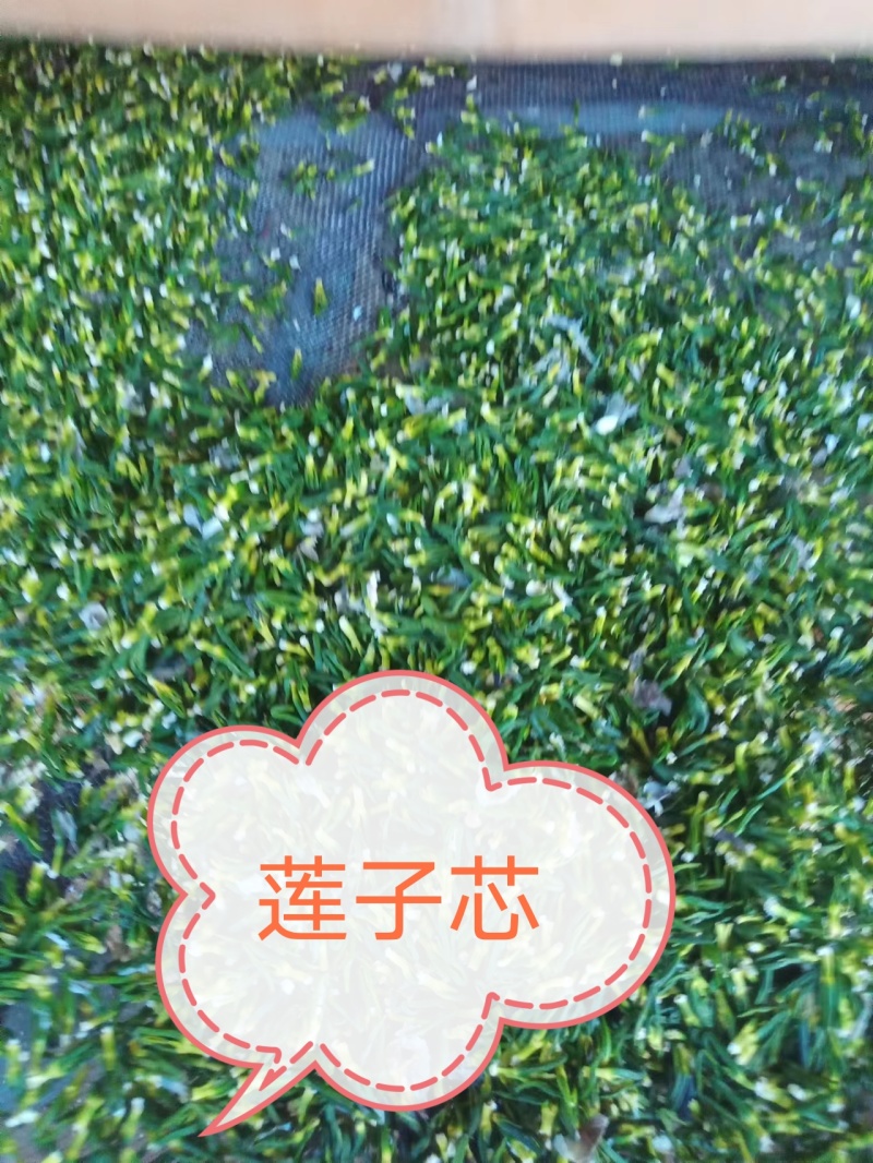 江西【莲心茶】莲子芯，泡水正品，清热去火，特级天然新货