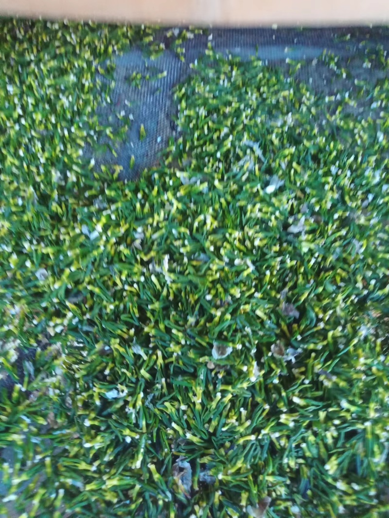 江西【莲心茶】莲子芯，泡水正品，清热去火，特级天然新货