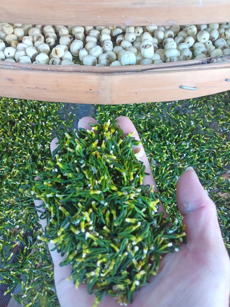 江西【莲心茶】莲子芯，泡水正品，清热去火，特级天然新货