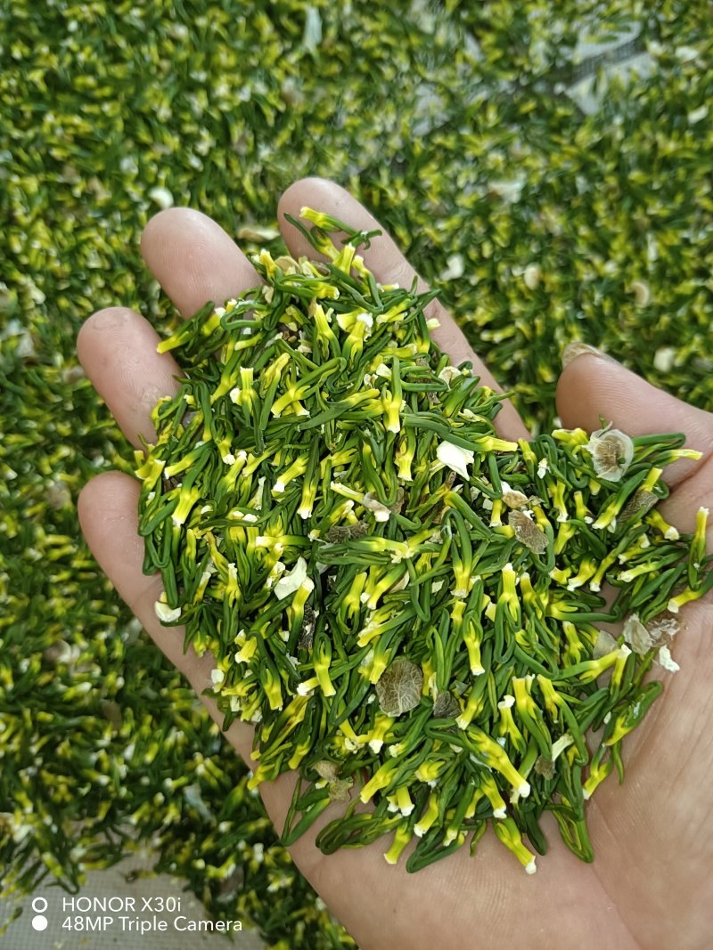 江西【莲心茶】莲子芯，泡水正品，清热去火，特级天然新货