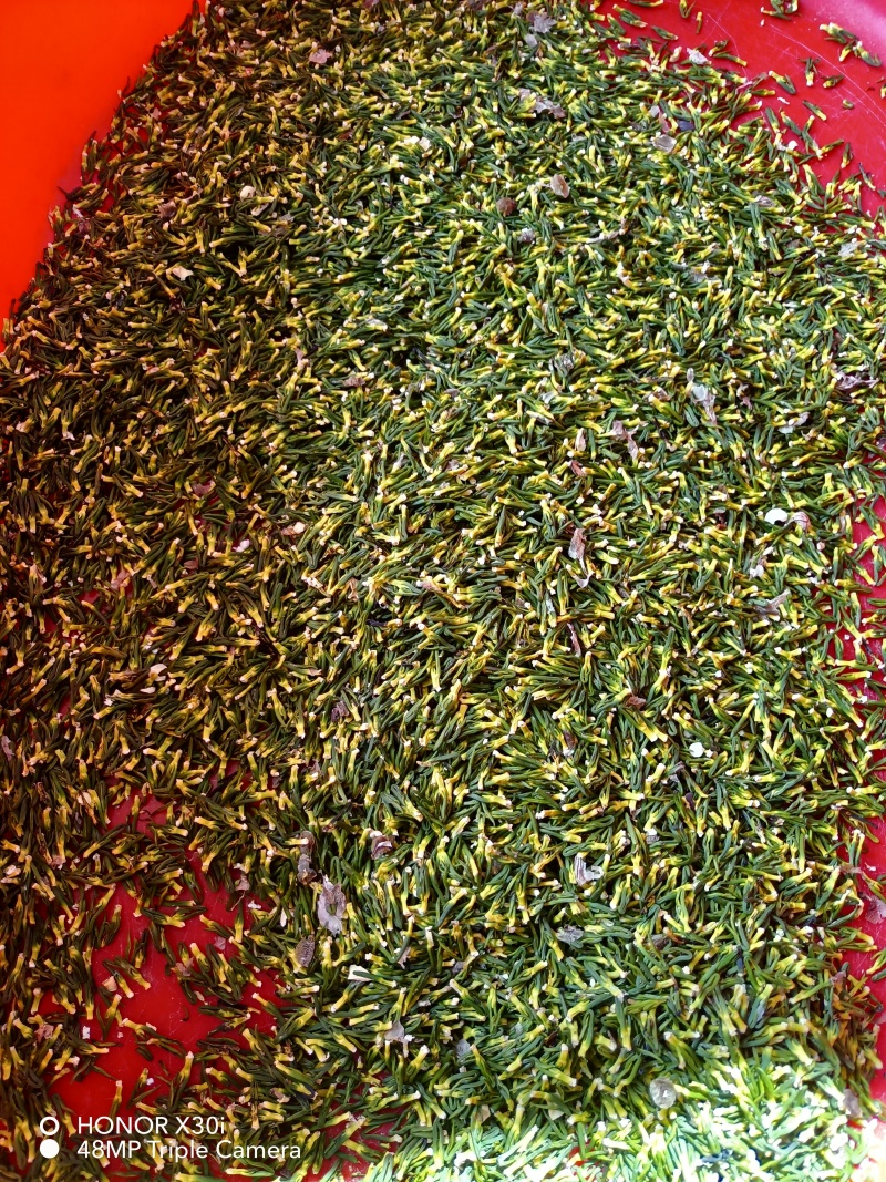江西【莲心茶】莲子芯，泡水正品，清热去火，特级天然新货