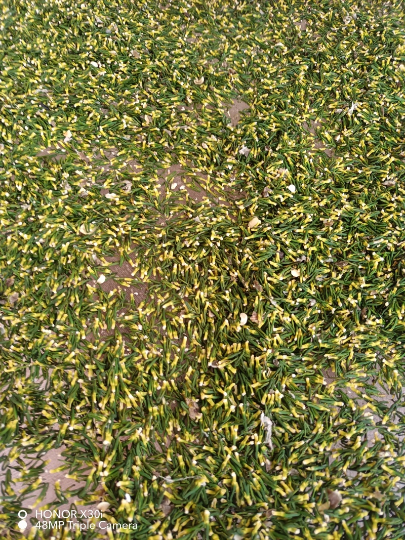 江西【莲心茶】莲子芯，泡水正品，清热去火，特级天然新货