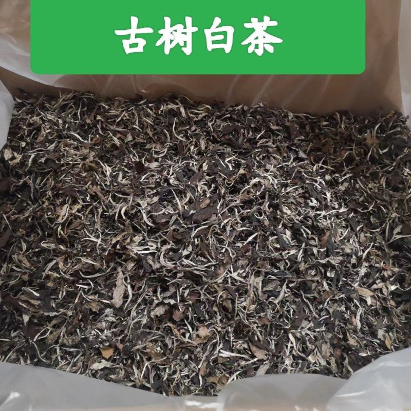 精品白茶古树白茶货源充足量大从优质量保证欢迎咨询