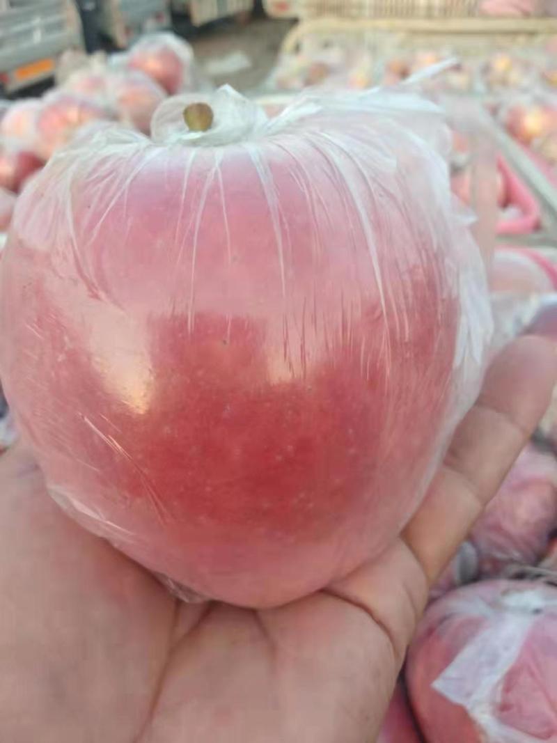 安徽砀山红富士苹果80以上色泽艳丽口感脆甜热情服务