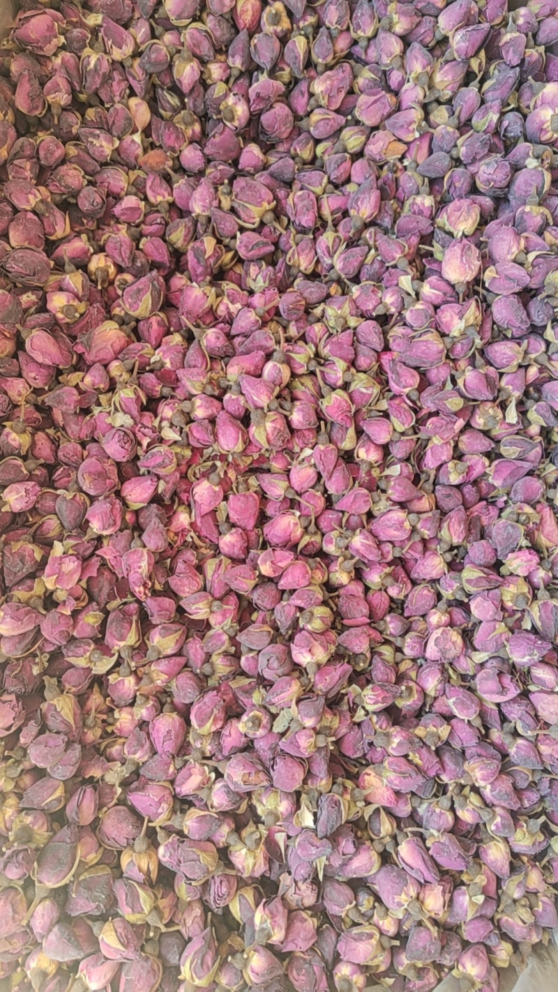月季花干货山东月季花欢迎选购！量大从优