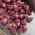 月季花干货山东月季花欢迎选购！量大从优