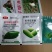 芋草净芋头芋艿槟榔芋香芋苗后阔叶一年生禾本杂草除草剂组合