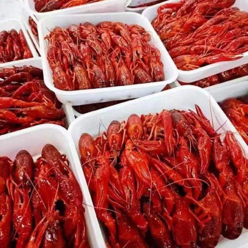 液氮速冻锁鲜小龙虾，清水虾，冻虾厂家直发全国直达包邮