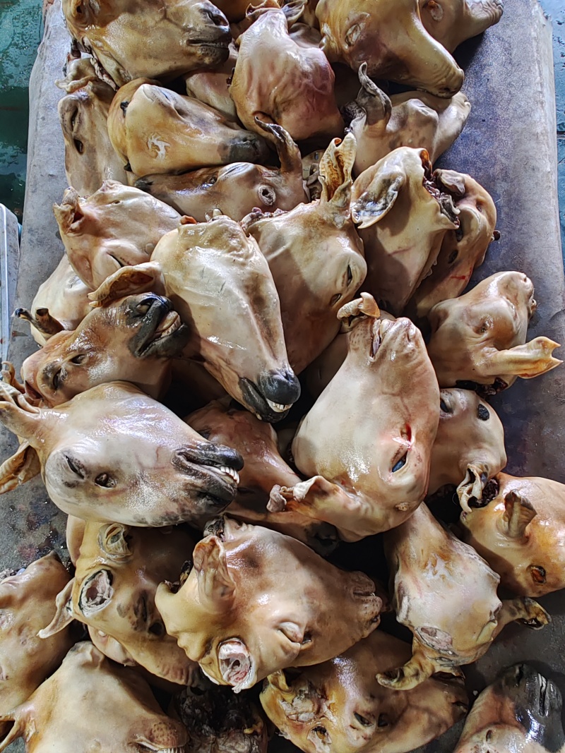【羊头】当地绵羊的火燎水洗无碱，大羊羔羊白头花头都有！