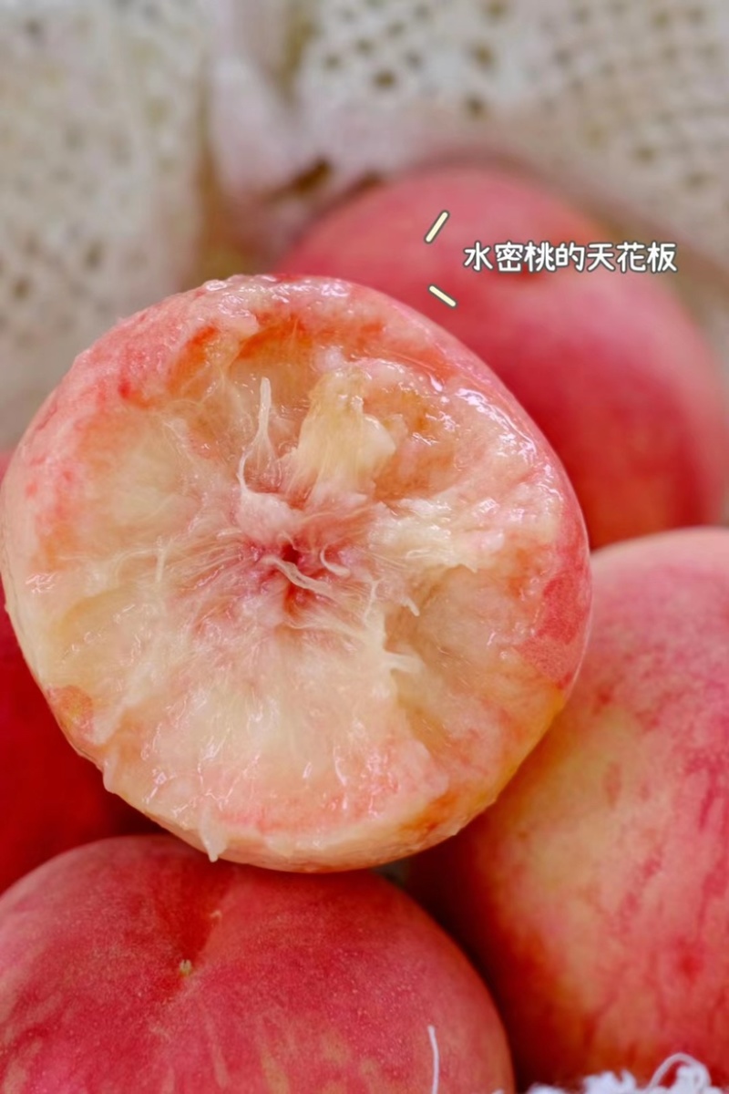 龙泉水蜜桃大量有货一件代发