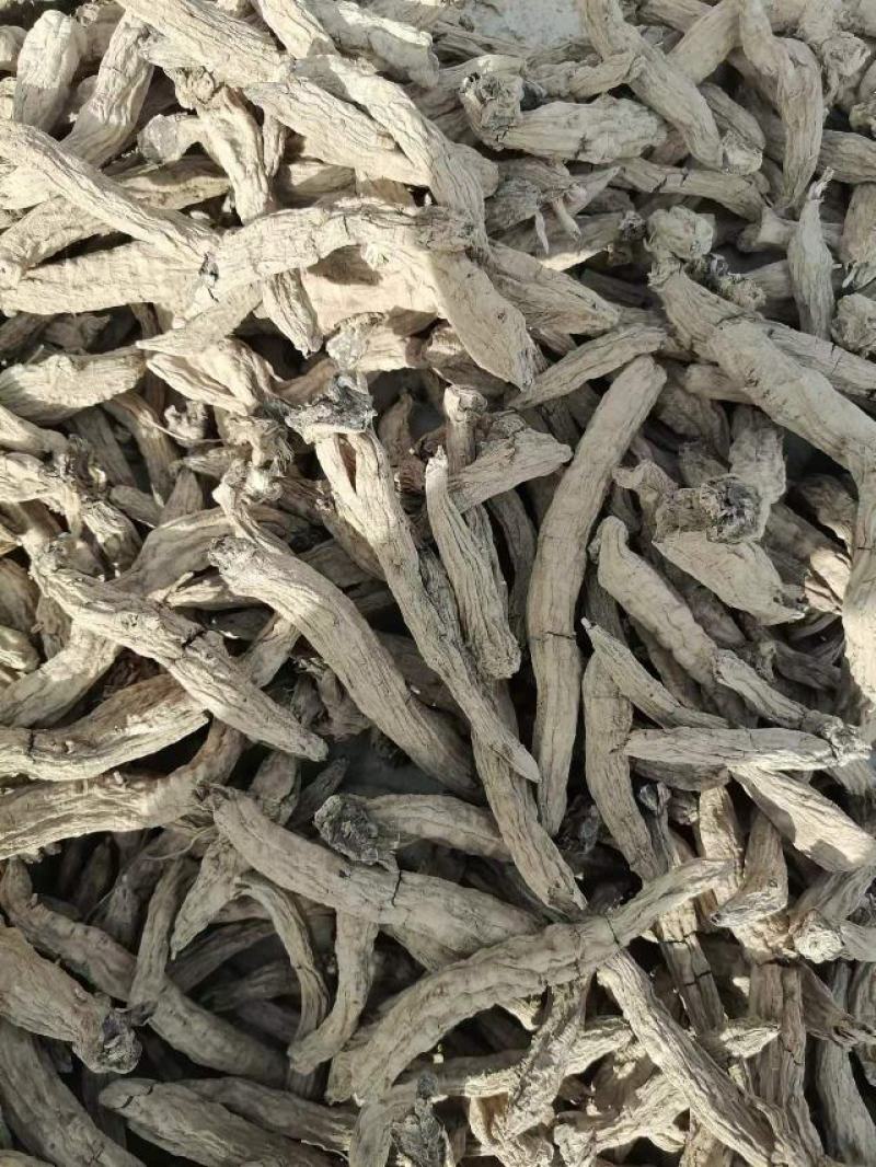 玄参炕货大量上市，通货，望诚实合作共赢，以质量说价格。