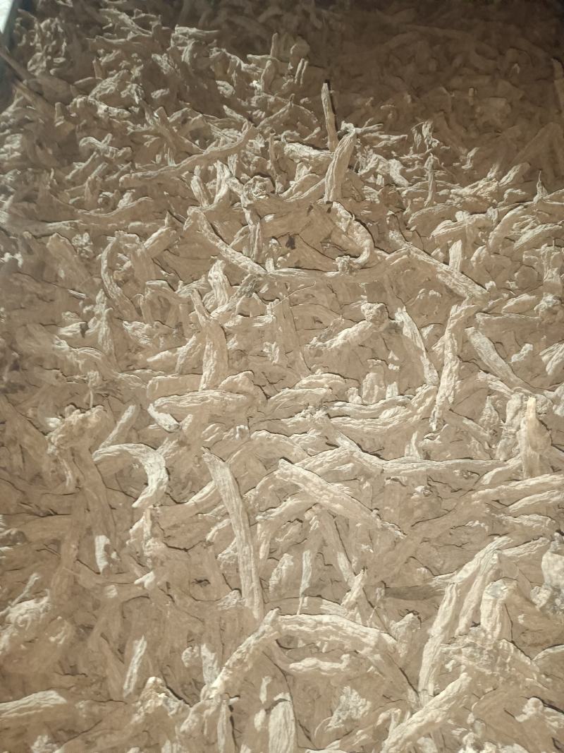 玄参炕货大量上市，通货，望诚实合作共赢，以质量说价格。