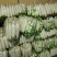 湖北精品白萝卜产地发货一手货源批发品质保证价格美丽