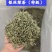 精品茶叶银丝及特级绿茶货源充足量大从优质量保证欢迎咨询