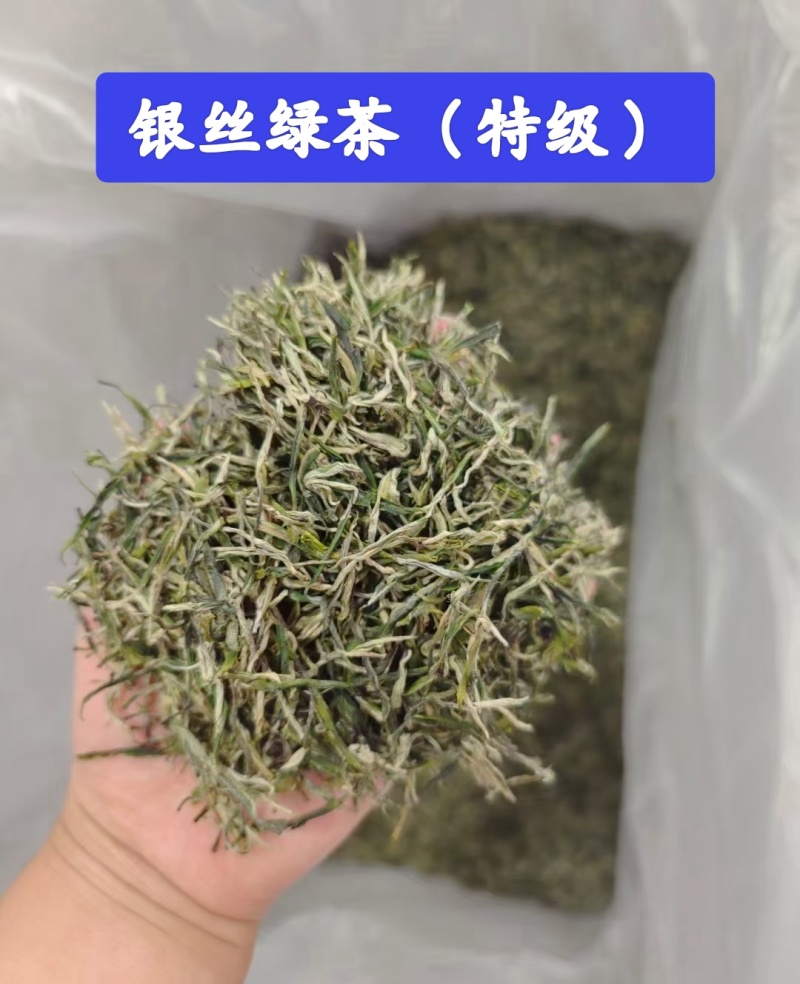 精品茶叶银丝及特级绿茶货源充足量大从优质量保证欢迎咨询