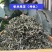 精品茶叶银丝及特级绿茶货源充足量大从优质量保证欢迎咨询